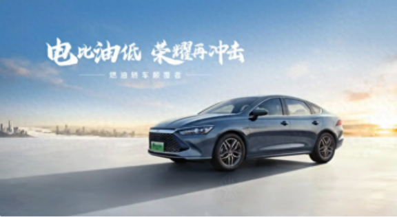 亂象頻生大卷當(dāng)?shù)溃腺Y品牌如何破局?